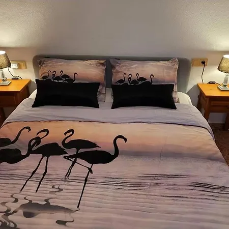 Casa Danas * Τορεβιέχα